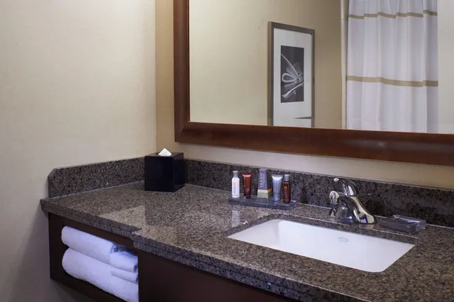 غرفة بسرير مزدوج لذوي الإعاقة، Marriott Detroit At the Renaissance Center 2/2
