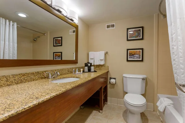 غرفة بسرير كينج مع أريكة، Comfort Inn and Suites Presidential 4/4