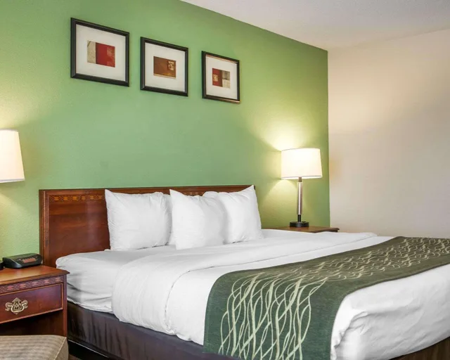 غرفة بسرير كينج لذوي الإعاقة، Comfort Inn Goshen, IN 2/2