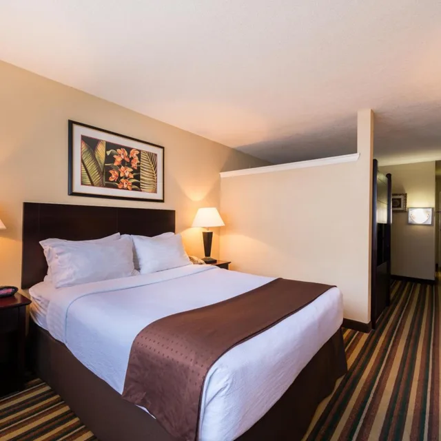 غرفة بسرير مزدوج، Holiday Inn & Suites Orlando SW - Celebration Area 2/5