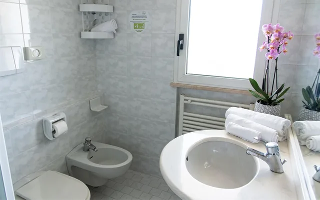 غرفة بانورامية بشرفة مفردة بسرير كوين، Hotel Maestri 9/10