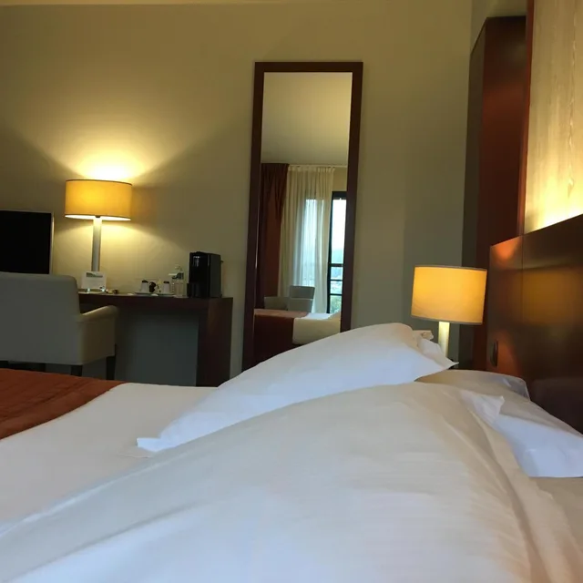 غرفة بانورامية بسرير مزدوج، Hotel Du Casino 3/4