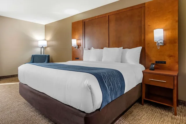 غرفة قياسية بسرير كينج، Comfort Inn Birmingham - Irondale 3/7