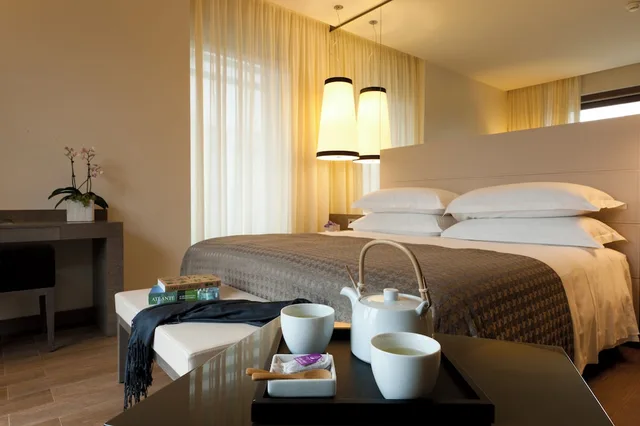 غرفة ديلوكس بسرير مزدوج، Starhotels E.C.Ho. 9/10