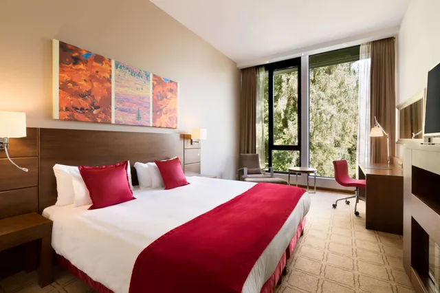 غرفة ديلوكس بسرير مزدوج، Dolce By Wyndham La Hulpe Brussels 1/3