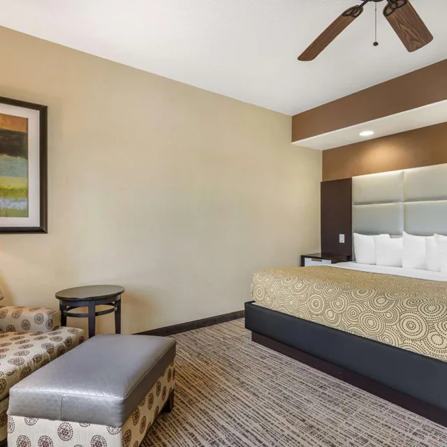 غرفة ديلوكس بسرير كينج، Best Western Plus Lackland Hotel & Suites 2/4