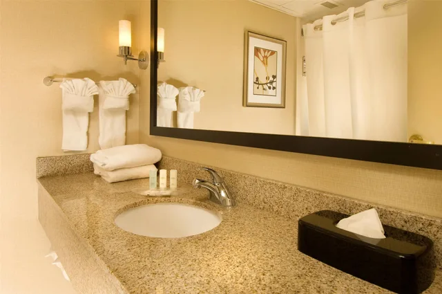 Business, Suite, King Bed, Comfort Suites Chantilly - Dulles Airport 2/2