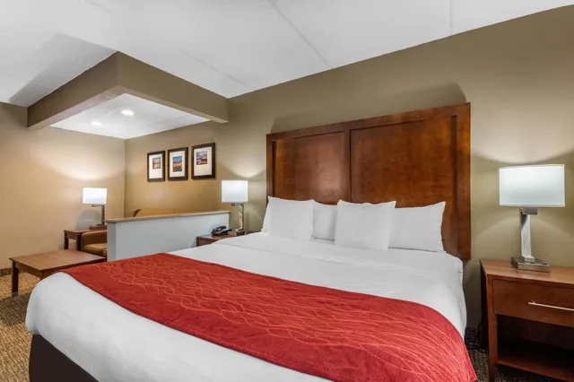 جناح مع أريكة، Comfort Inn & Suites Hamilton Place 2/4