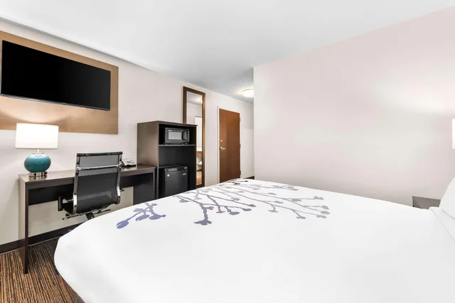 غرفة بسرير مزدوج لذوي الإعاقة، Sleep Inn & Suites Pigeon Forge - Downtown 4/6