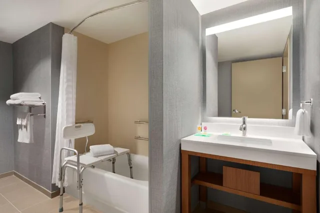 غرفة بسرير كينج مع أريكة بحوض استحمام لذوي الإعاقة، Hyatt Place Virginia Beach Town Center 2/2