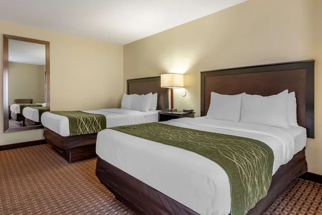 Efficiency, Suite, 2 Double Beds, Sofa, Accessible، Comfort Inn & Suites Warsaw near US-30 1/2