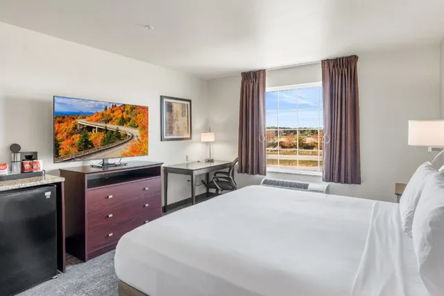 Guest Room, Single, King Bed, Accessible, Cobblestone Hotel & Suites - Denmark 2/6