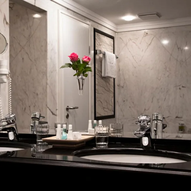 Senior, Suite, River View، Sorat Insel-Hotel Regensburg 6/8