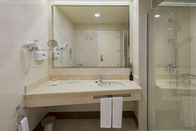 غرفة سوبيريور بسرير مزدوج أو سريرين منفصلين، Elba Madrid Alcala Hotel 5/5