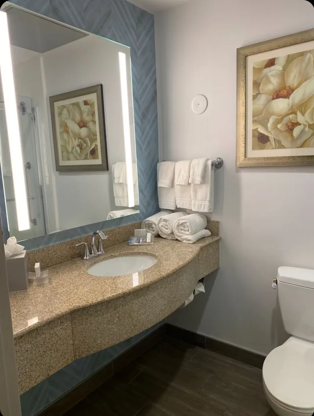 Room, King Bed, Sofa, Hilton Garden Inn Lake Buena Vista 5/6