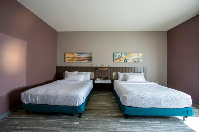 غرفة بسريرين كوين لذوي الإعاقة، Hilton Garden Inn Rapid City 1/4