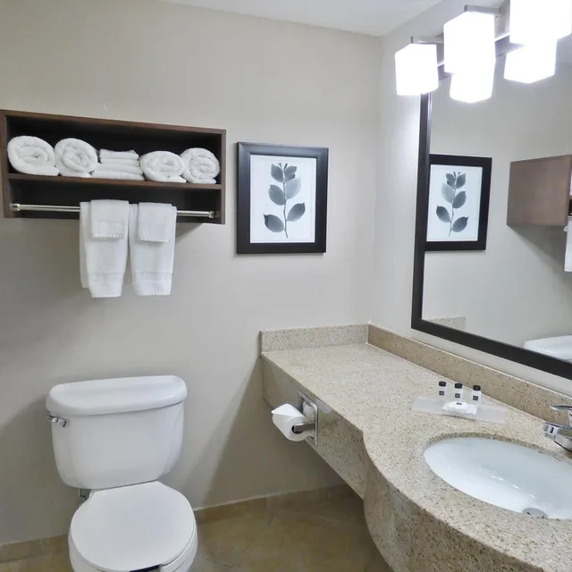 جناح استوديو بسرير كينج مع أريكة، Country Inn and Suites by Radisson Tampa/Brandon FL 8/8