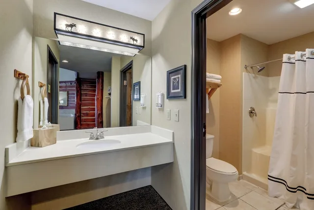 Theme, Suite, King Bed, Sofa, Jetted Tub، Stoney Creek Hotel La Crosse - Onalaska 2/2