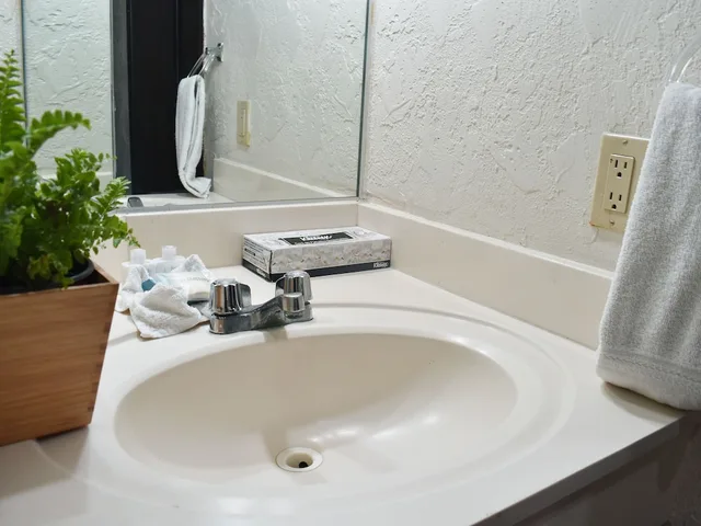 Junior Suite, Queen Bed, Corona Plaza Hotel 3/3