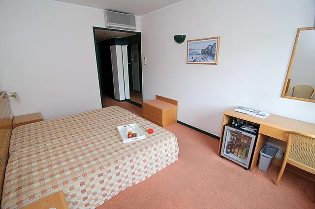 غرفة بسرير مزدوج أو سريرين منفصلين، Hotel Douro 2/2