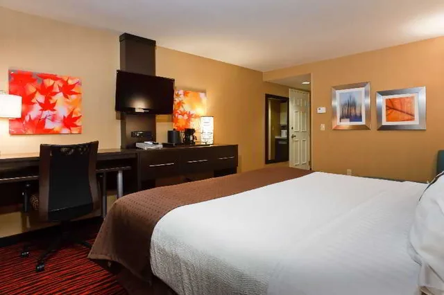 غرفة قياسية، Holiday Inn Colorado Springs(Airport) 3/4
