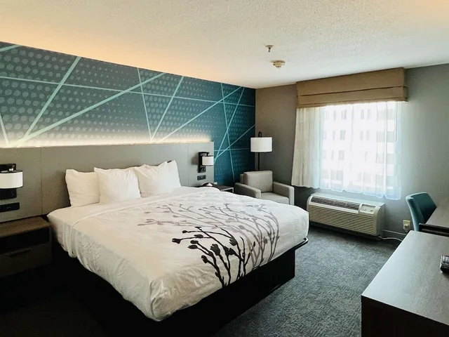 Room, King Bed, Comfort Inn Emporia 2/6