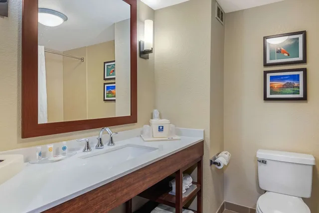 غرفة بسرير كينج، Comfort Inn & Suites Big Spring 4/5