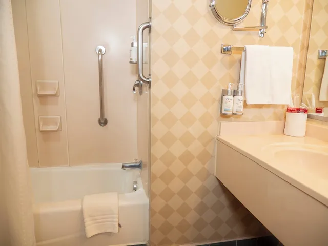 غرفة قياسية بسرير كينج، Holiday Inn Express Guanajuato 9/10