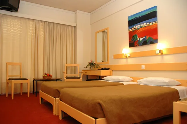 غرفة مفردة، AMALIA HOTEL 3/10