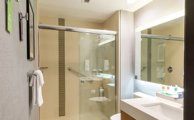 غرفة بسرير كينج مع أريكة في طابق مرتفع، Hyatt Place West Des Moines/Jordan Creek 4/4
