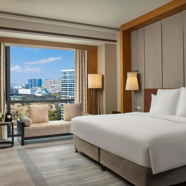 غرفة سوبيريور تنفيذية بسرير كينج، Pullman Haining 2/5