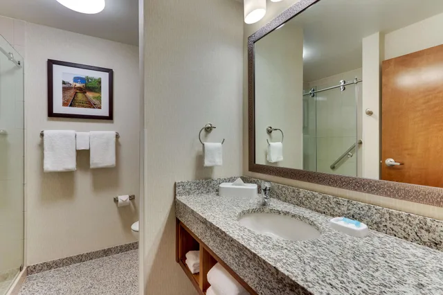 غرفة بسريرين كوين بشرفة بإطلالة لذوي الإعاقة، Drury Plaza Hotel Orlando - Disney Springs Area 4/4