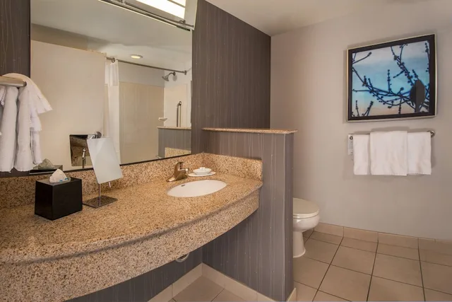 جناح بسرير كينج بغرفة نوم واحدة مع أريكة، Courtyard By Marriott Gaithersburg Washingtonian Center 6/6