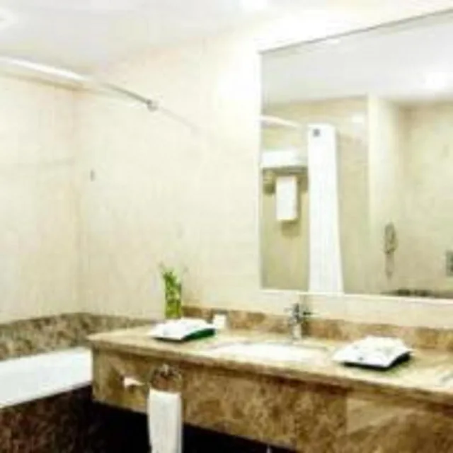 Premium, King Bed, City View, Smoking, Holiday Inn Olaya 3/3