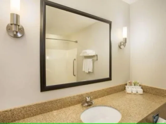 Suite, King Bed, Sofa, Holiday Inn Express Kalamazoo 4/5