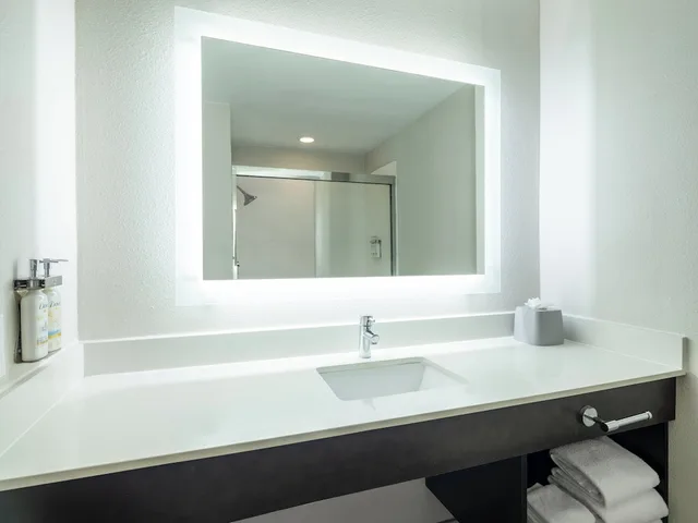 Standard, King Bed, Holiday Inn Express and Suites St. Petersburg North (I-275), an IHG Hotel 6/8