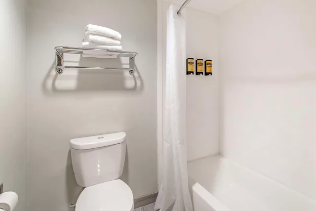 جناح بسرير كينج مع أريكة بمطبخ صغير، Best Western Plus Knoxville Cedar Bluff 2/2