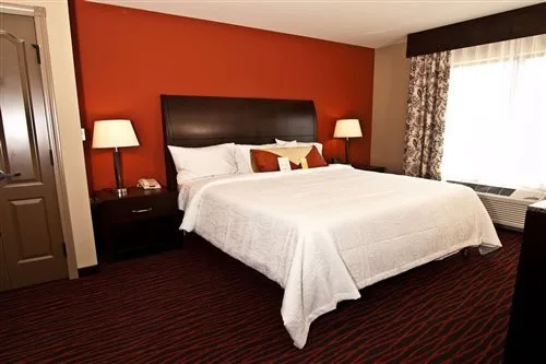 غرفة ديلوكس بسرير مزدوج، Hilton Garden Inn Rapid City 1/1