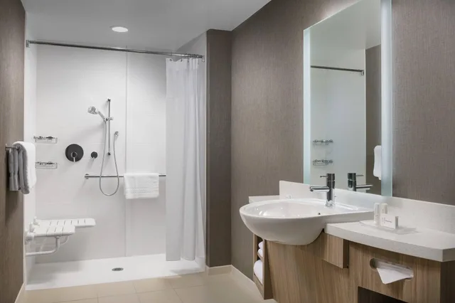 جناح بسرير كينج، Springhill Suites By Marriott Philadelphia West Chester Exton 6/8