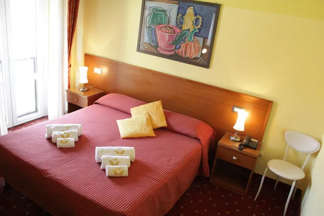 Room, Double Bed, Hotel Lugano 4/10