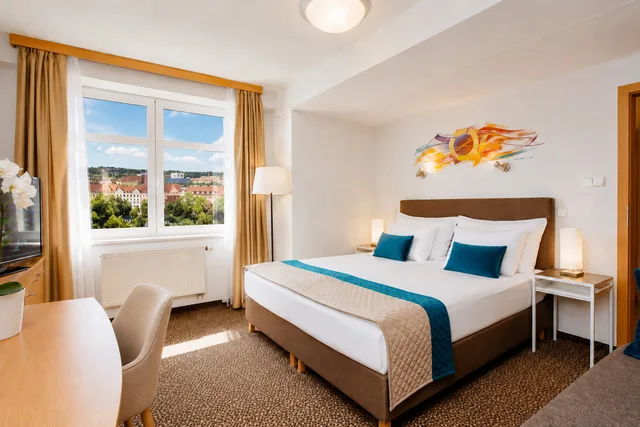 Standard, Single, COLORFACTORY SPA Hotel 2/12