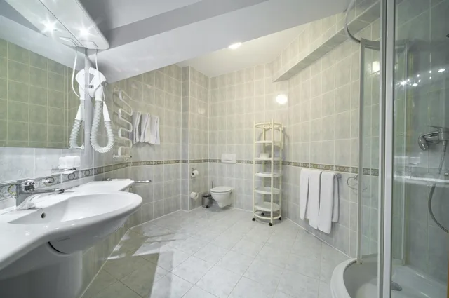 غرفة بسريرين منفصلين، Geovita Hotel Perla Bieszczadow 6/7