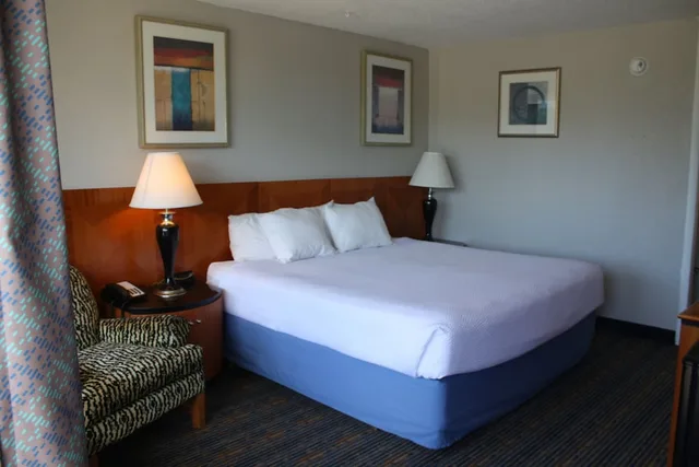 غرفة بسرير كينج يُسمح فيها بالحيوانات الأليفة لذوي الإعاقة، Days Inn by Wyndham Luray Shenandoah 4/10