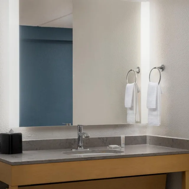 غرفة بسرير كينج مع أريكة لذوي الإعاقة، Hyatt Place Columbia/Harbison 1/2