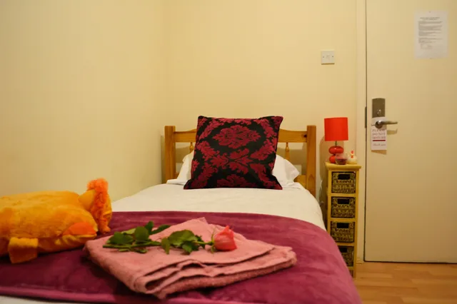 غرفة مفردة بحمام مشترك، City London Hotel 3/9