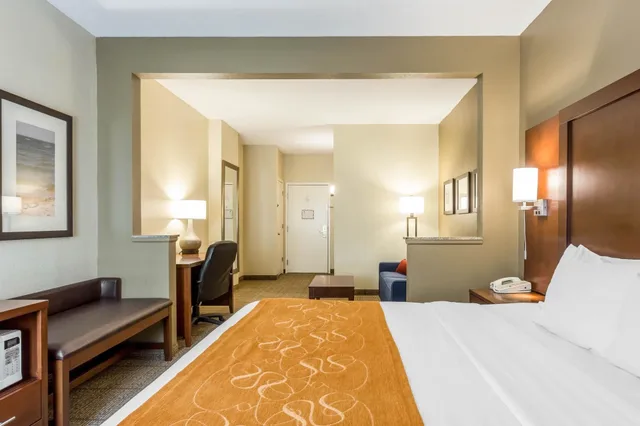 Suite, King Bed, Sofa, Comfort Suites At The University 1/10