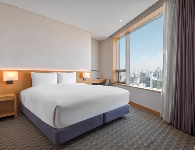 غرفة ديلوكس بسرير كينج في طابق مرتفع، Sotetsu Hotels The Splaisir Seoul Dongdaemun 5/9