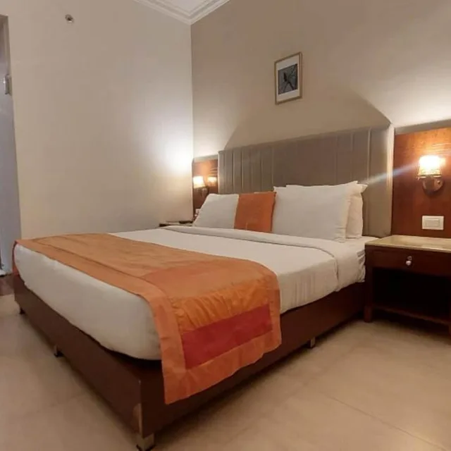 غرفة ديلوكس بسرير مزدوج، COCHIN PALACE 4/10