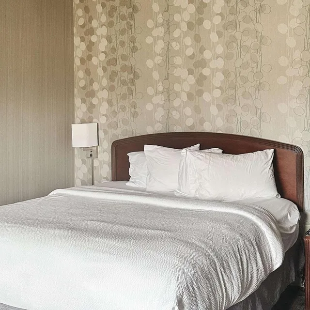 غرفة بسرير كينج بحوض استحمام لذوي الإعاقة، Country Inn & Suites by Radisson, Columbus-Edinburgh 8/10
