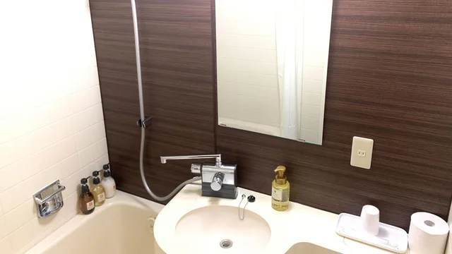 غرفة قياسية مفردة، Chateraise Hotel Nagano 2/7